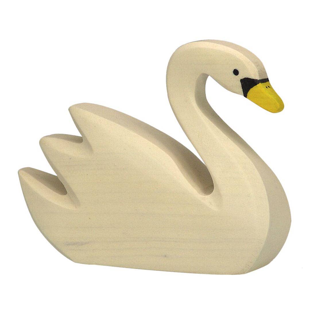 Swan, swimming