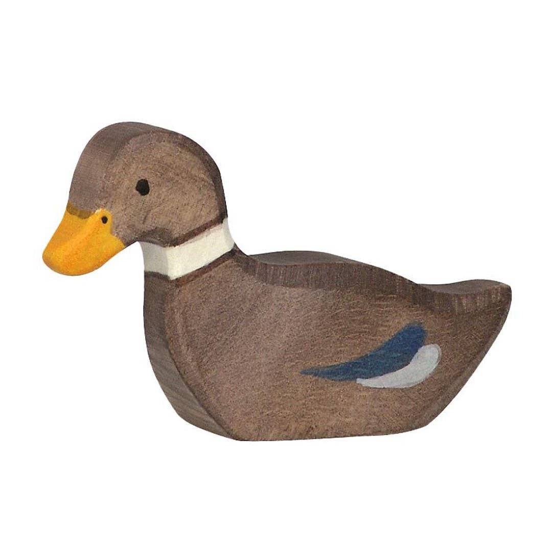 Duck, sitting
