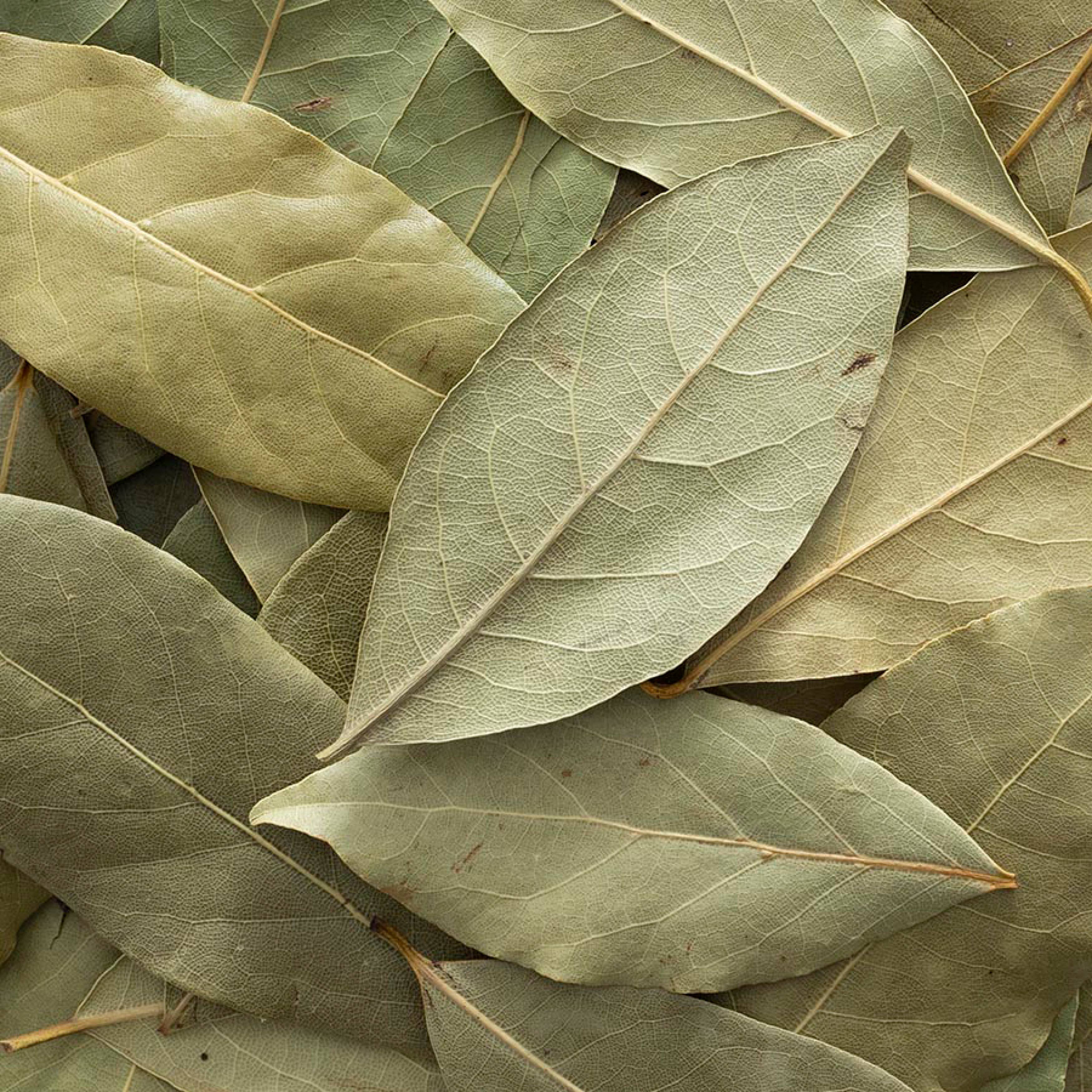True Whole Bay Leaf, Kosher, Non Irradiated, Non ETO 0.15 Oz